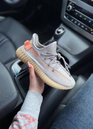 Adidas yeezy boost 350 true form4 фото