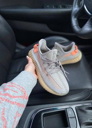 Adidas yeezy boost 350 true form6 фото