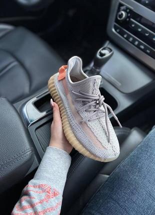 Adidas yeezy boost 350 true form3 фото