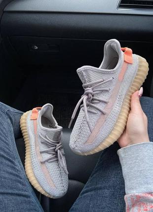 Adidas yeezy boost 350 true form2 фото