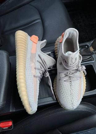 Adidas yeezy boost 350 true form5 фото