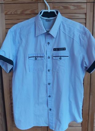 Сорочка чоловіча, теніска3 фото