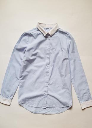 Актуальна бавовняна сорочка,легка блакитна сорочка з білим комірцем і манжетами h&m