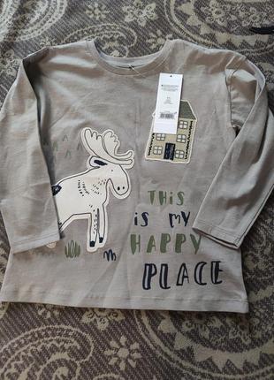 Лонслив футболка з довгим рукавом