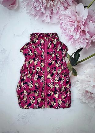 Жилетка