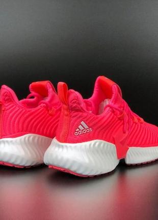 Жіночі кросівки adidas  рожеві з білим