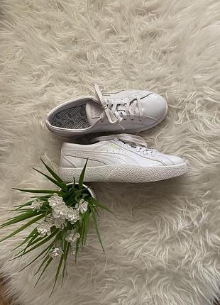 Дуже стильні шкіряні кеди puma
