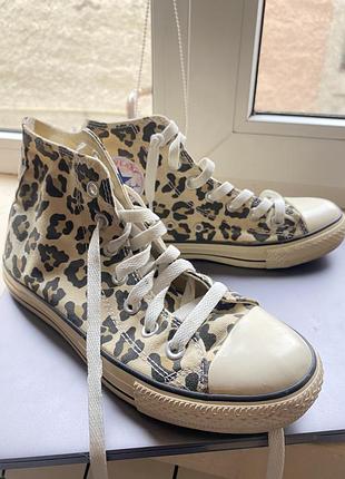 Кеди converse