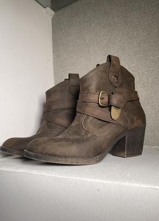 Шкіряні черевики козаки на товстому каблуку rocket dog модель western ankle boots