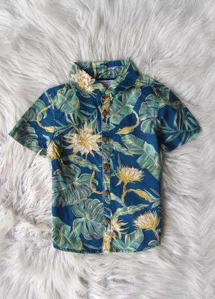 Сорочка теніска шведка з коротким рукавом primark