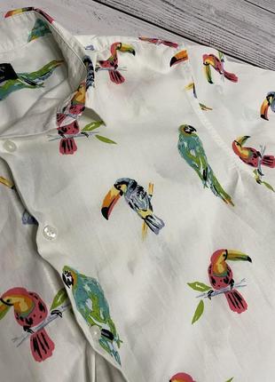 Яркая рубашка с попугаями primark
