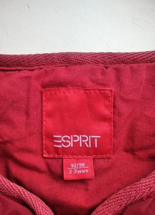 Esprit жилетка мальчику 2-3 года 92-98 см3 фото