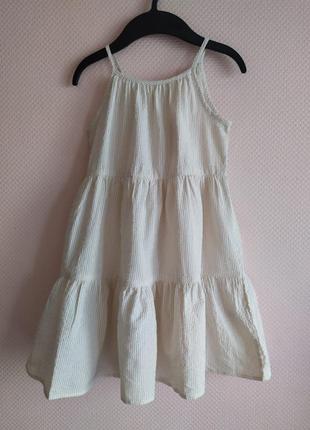 Сукня довжиною до коліна