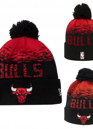 Chicago bulls