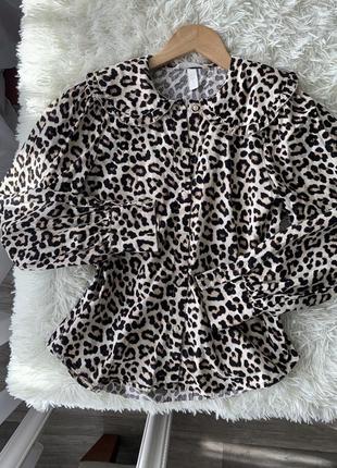 Блузка з леопардовий принт блуза з коміром котон сорочка10 фото
