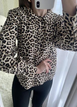 Блузка з леопардовий принт блуза з коміром котон сорочка4 фото