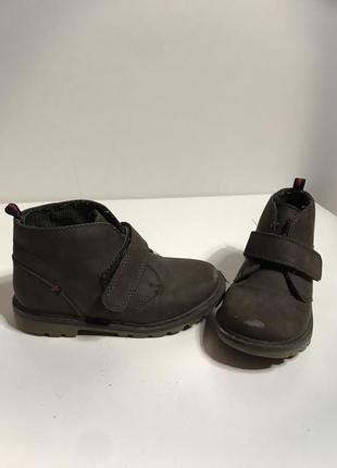 Черевикі tommy