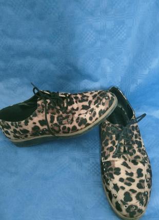 Next forever comfort leopard print1 фото