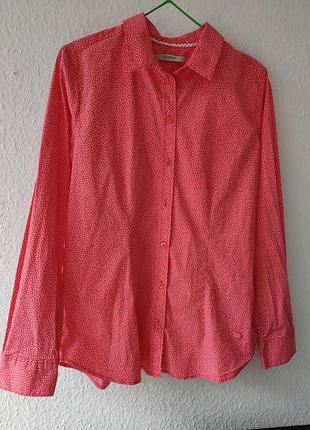 Рубашка, бавовна, м, 44, 46, в мiлкий горох