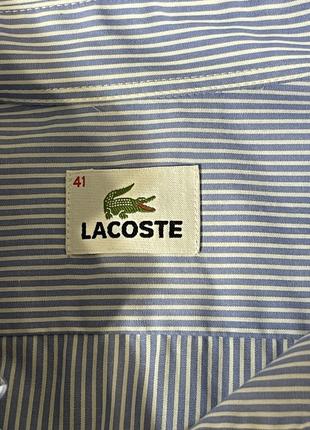 Рубашка качества lacoste4 фото