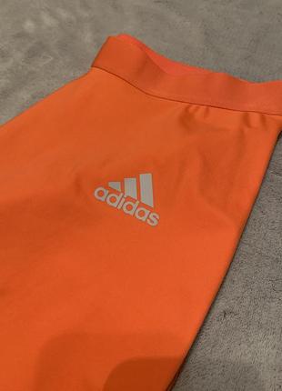 Лосины adidas2 фото