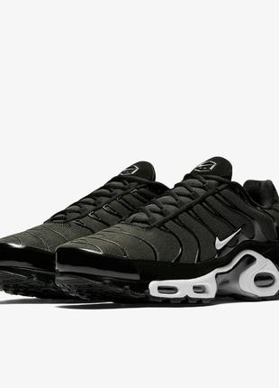 Кроссовки мужские nike air max plus (852630-031)