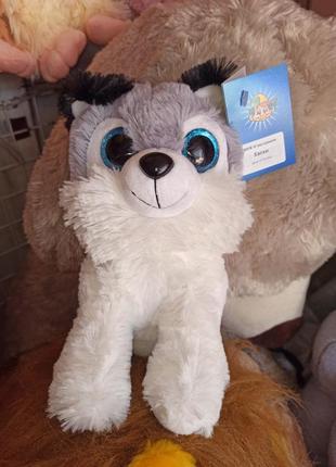 Мягкая игрушка глазастик собака хаски плюшевая большая 24 см бело-серая с черными ушками