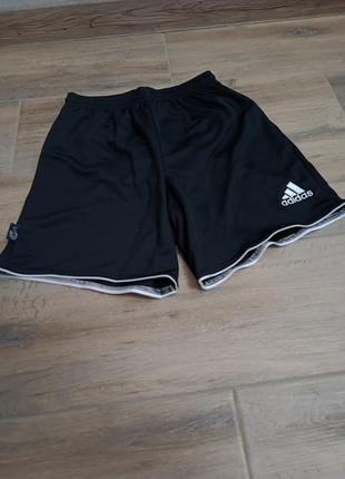 Спортивні шорти adidas climalite