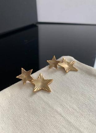 Брендовые серьги