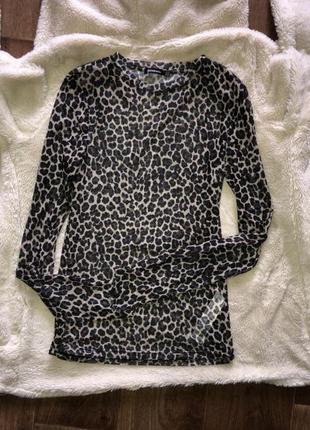 Кофта блуза капронова леопардова4 фото