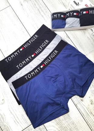 Чоловічі труси tommy, чоловічі боксери томі - розмір xl - синій колір