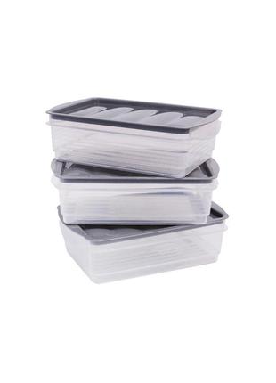 Набор пищевых контейнеров прозрачный-серый 3 шт ernesto