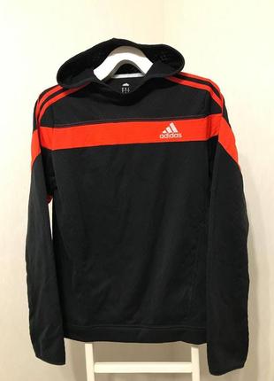 Мужская кофта adidas