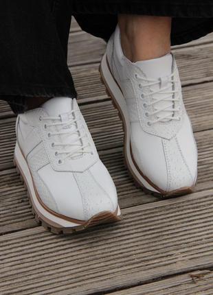 Жіночи кросівки ptaha_shoes