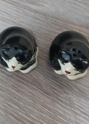 Кіт кераміка дляспецій лот