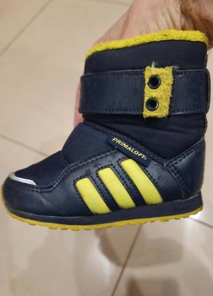 Ботмнки ботиночки сапоги adidas 20 размер