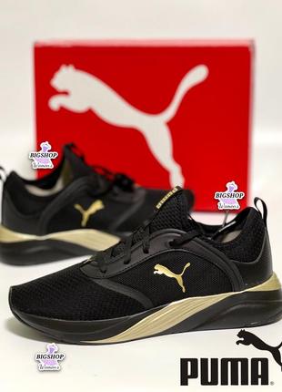 Женские кроссовки puma оригинал 2023 (весна/ лето/ осень) кроссовки пума puma