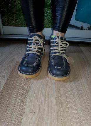 Туфли, ботинки кожа от kickers франция бренд2 фото