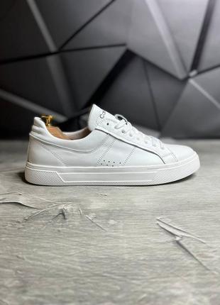 Стильные кеды кельвин клян calvin klein белые кожаные/кожа мужские деми, демисезонные...