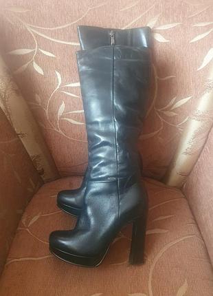 Чоботи lizard, made in poland