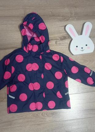 Вітровка для дівчинки