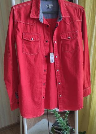 Новая рубашка катон we