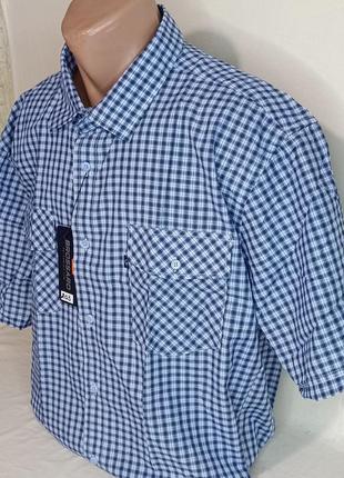 Мужская рубашка большого размера brossard vk-0203 классическая синяя в клетку хлопок, тенниска мужская хлопок4 фото