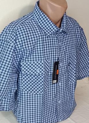 Мужская рубашка большого размера brossard vk-0203 классическая синяя в клетку хлопок, тенниска мужская хлопок2 фото