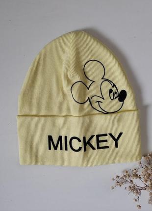 Шарочка двойная в рубчик микки