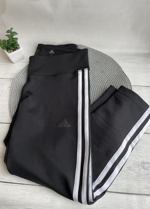 Лисины,легинсы adidas оригинал!