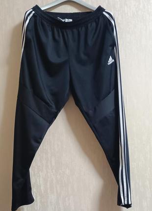 Штани adidas
