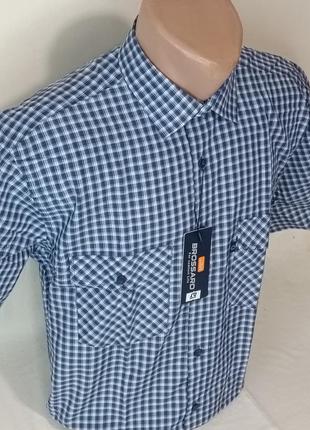 Мужская рубашка с коротким рукавом brossard vk-0059 синяя в клетку классическая 100%...