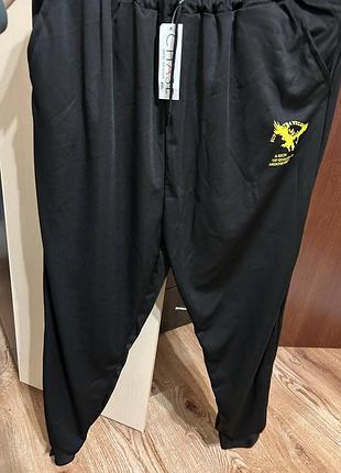 Спортивные штаны мужские