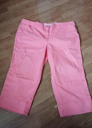 Літні бріджі